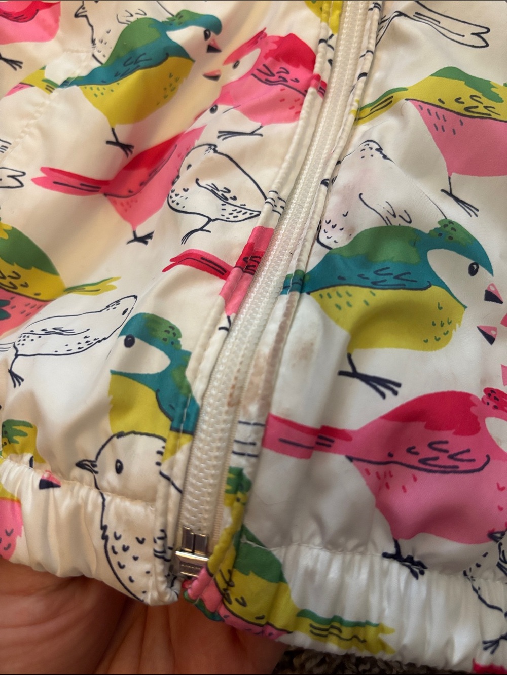 baby GAP windbreaker bird print - Picture 5 of 8